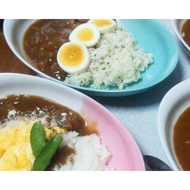 波佐見焼 ハーフカラーカレーパスタ皿2枚セット(和山) | エンニチ